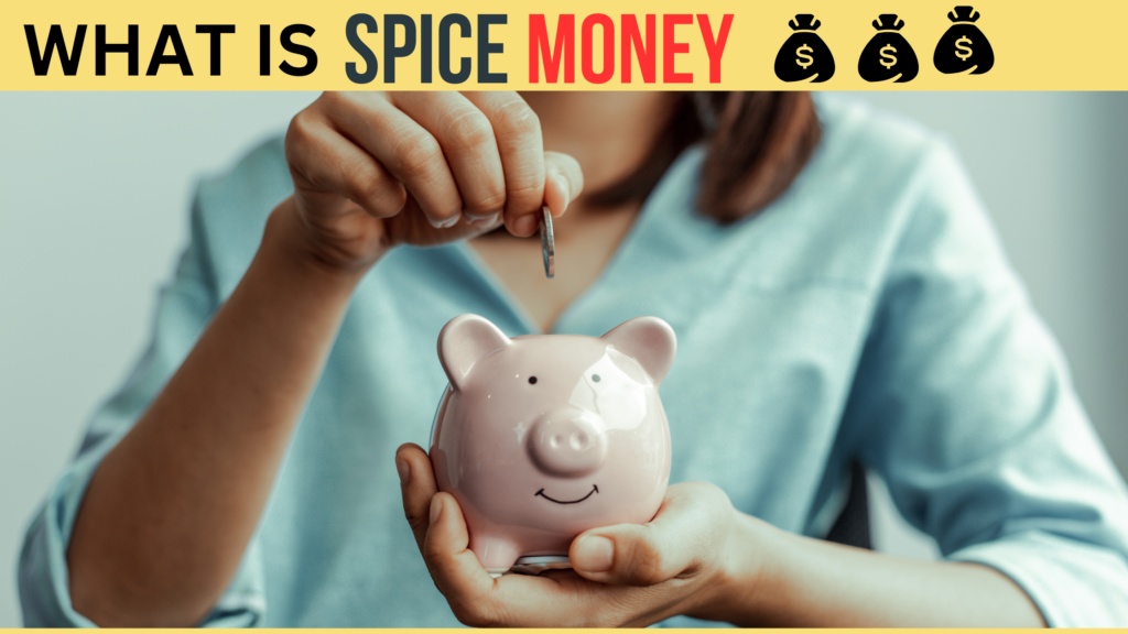 what is spice money